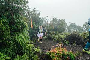 BIB: 
                            <button type="button" onclick="openModal(26272377)" class="btn btn-primary btn-sm float-right btn-popup" data-toggle="modal" data-target=".modal-high-quality">
                        <i class="fas fa-shopping-cart"></i> Add to Cart
                    </button>
                                            <button type="button" onclick="isThisMe(26272377, true)" class="btn btn-success btn-sm float-right btn-popup btn-isme hidden" data-toggle="tooltip" data-placement="bottom" title="นี่คือรูปของคุณใช่ไหม คลิกที่นี่เพื่อเอาเข้าอัลบั้ม">
                        <i class="fas fa-plus"></i> Add to album
                    </button>
                    <button type="button" onclick="isThisMe(26272377, false)" class="btn btn-warning btn-sm float-right btn-popup btn-isnotme hidden">
                        <i class="fas fa-ban"></i> Remove from album
                    </button>